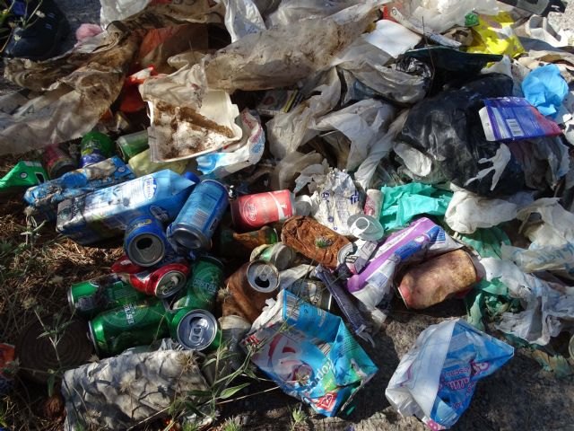 ANSE retira 20 sacos de basura de dos playas del Rincn de Cabo Tiñoso, Foto 1