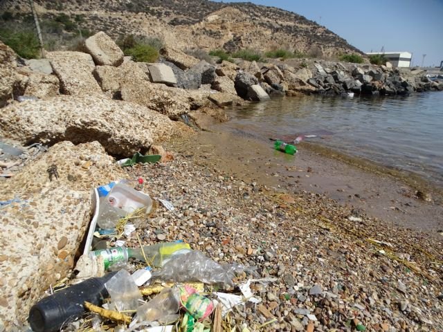 ANSE retira 20 sacos de basura de dos playas del Rincón de Cabo Tiñoso - 2, Foto 2