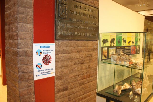 El Museo Arqueológico Municipal de Cartagena abre de nuevo al público el 2 de junio - 1, Foto 1