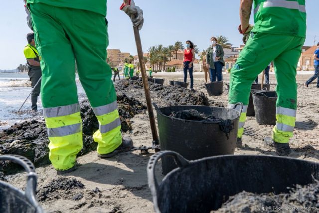 El Ayuntamiento agradece a la Comunidad el refuerzo de 30 operarios para la limpieza de las playas - 1, Foto 1