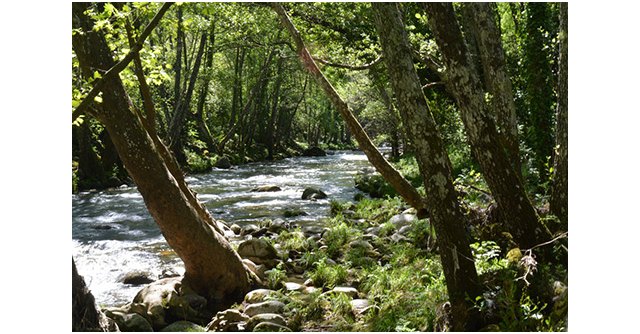 El Ministerio para la Transición Ecológica y el Reto Demográfico refuerza el proceso de participación pública para la revisión de los planes hidrológicos - 1, Foto 1