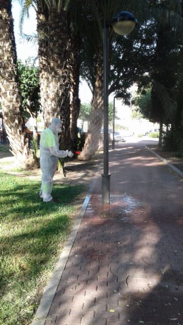 Alumbrado Público limpia y desinfecta cerca de 10.000 soportes de farolas de los espacios más transitados del municipio - 1, Foto 1