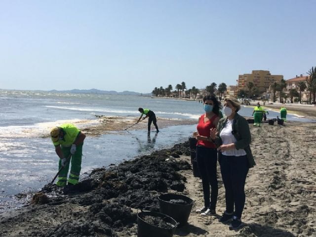 El Gobierno regional refuerza con 90 operarios la limpieza del borde litoral de las playas del Mar Menor ante la inacción del Estado - 1, Foto 1