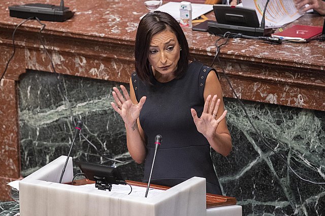 Ciudadanos abre a las aportaciones de la Asamblea Regional el decreto ley de Mitigación del Impacto de la COVID-19 sobre el Medio Ambiente - 3, Foto 3