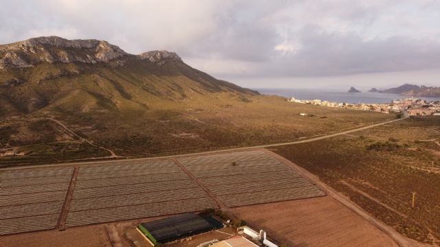 ANSE presenta recurso judicial por el retracto de Cabo Cope - 2, Foto 2