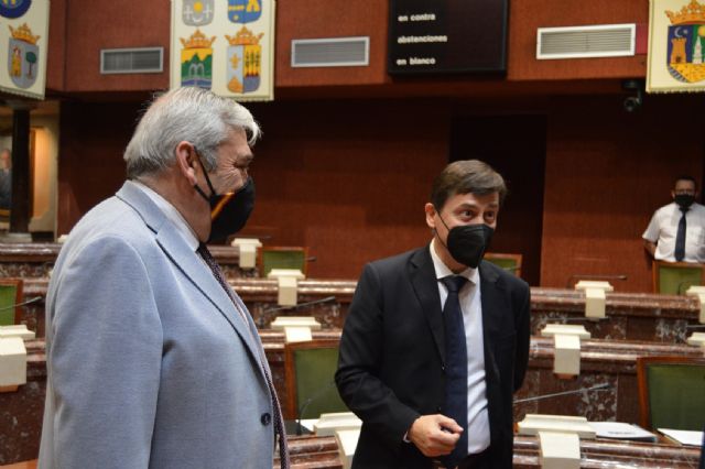 El GP Ciudadanos reclama el endurecimiento de las penas y la persecución de las mafias para hacer frente a la ocupación ilegal - 2, Foto 2