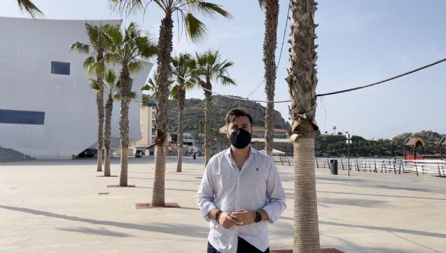 El equipo de Gobierno de Moreno tiene que preocuparse más por mantener en buen estado la explanada del Auditorio `Infanta Elena´ - 1, Foto 1