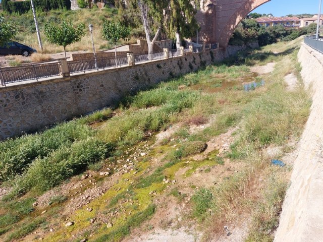 El Ayuntamiento solicita a la Confederación Hidrográfica del Segura que proceda a la fumigación y limpieza del río Guadalentín y ramblas, Foto 3
