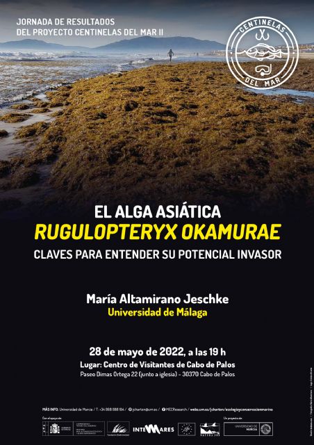 El proyecto de la UMU 'Centinelas del Mar' organiza una jornada sobre el impacto del alga asiática Rugulopteryx okamurae en el Mediterráneo - 1, Foto 1