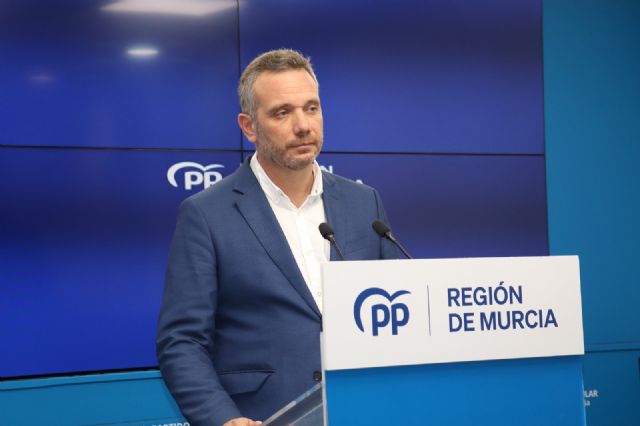 El PP cuenta con un despliegue de 5.300 interventores y apoderados repartidos por los colegios electorales de la Región - 1, Foto 1