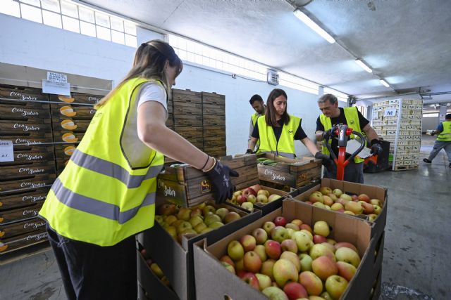 Sexta edición de la campaña Ningún hogar sin alimentos - 2, Foto 2