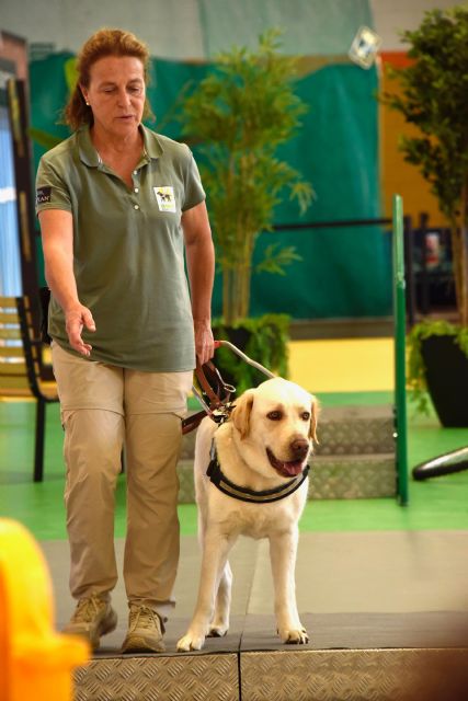 ´Mucho más que un perro´ - 5, Foto 5