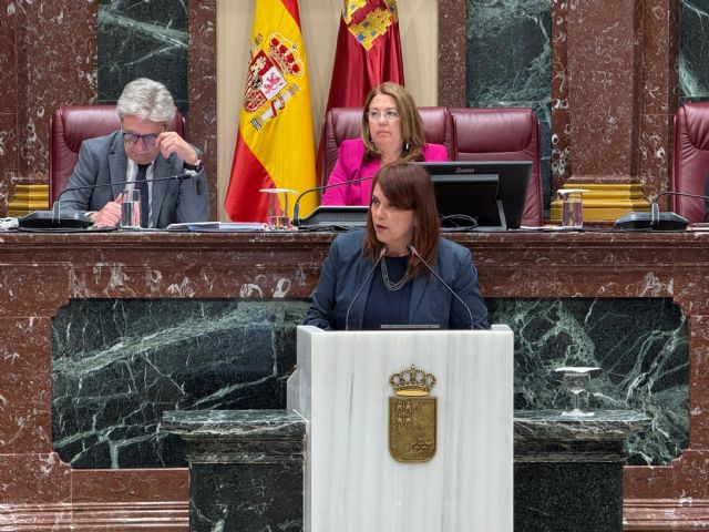 El PSOE consigue aprobar su moción para aplicar la carrera profesional completa a profesores y funcionarios de la Administración - 1, Foto 1