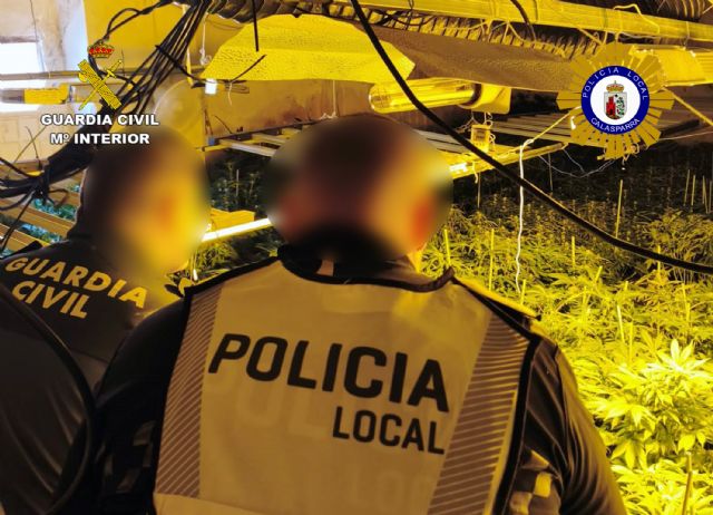 Desmantelan en Calasparra un grupo delictivo que cultivaba gran cantidad de marihuana - 3, Foto 3