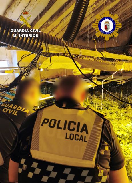 Desmantelan en Calasparra un grupo delictivo que cultivaba gran cantidad de marihuana - 4, Foto 4
