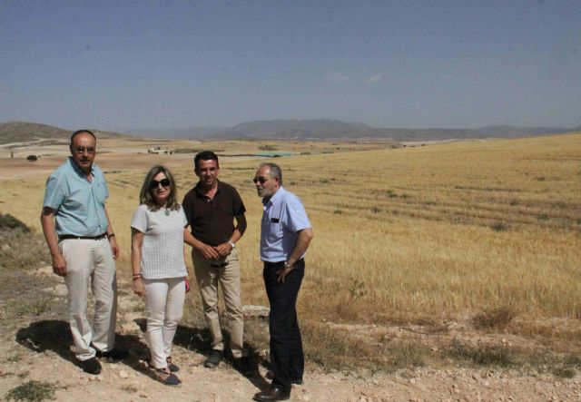 Agricultura destina 5.463.000 euros en ayudas para la protección de aves esteparias - 1, Foto 1