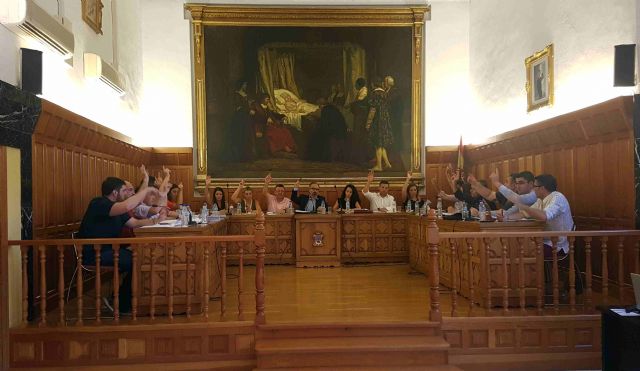 El Pleno solicita medidas urgentes para los agricultores afectados por la tormenta de granizo - 1, Foto 1