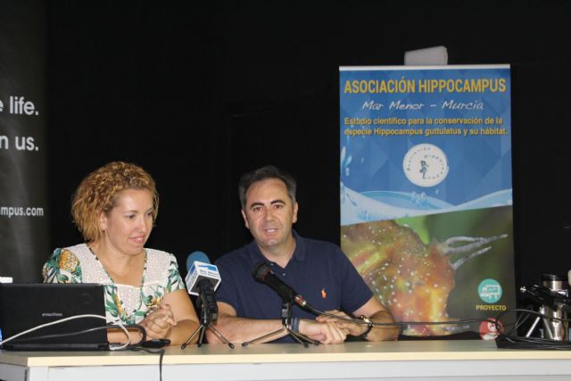La asociación Hippocampus celebra diez años dedicados al caballito de Mar - 2, Foto 2