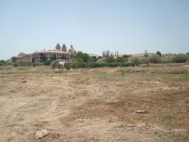 Huerta Viva denuncia la tala de arbolado y movimiento de tierras en el entorno de los Jerónimos - 1, Foto 1