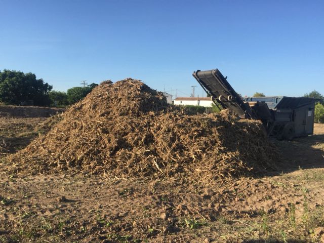 La UCAM crea en su campus de Los Jerónimos un huerto con criterios ecológicos - 1, Foto 1