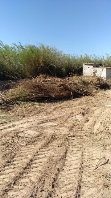 La UCAM crea en su campus de Los Jerónimos un huerto con criterios ecológicos - 2, Foto 2