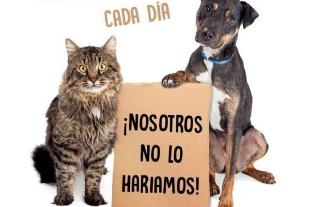 Calidad de Vida lanza una nueva campaña de sensibilización contra el abandono de mascotas en verano - 1, Foto 1
