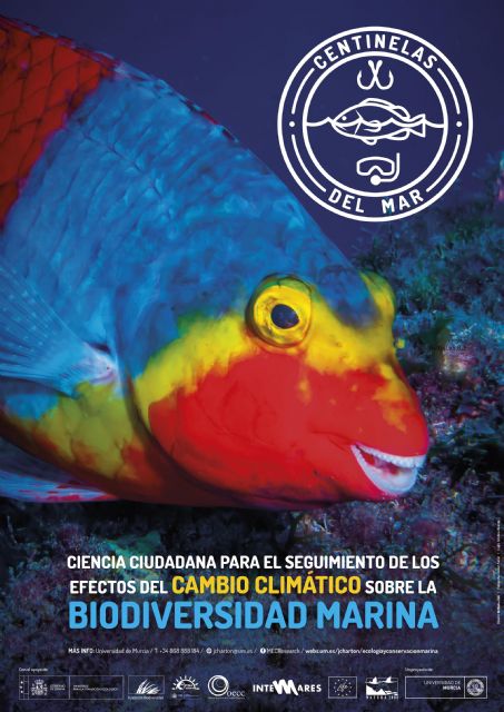 La UMU presenta los resultados de un proyecto que constata los efectos del cambio climático sobre la biodiversidad marina - 1, Foto 1