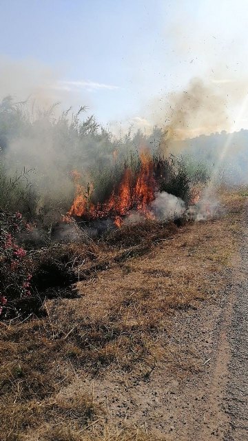 Conato el incendio de cañas en zona del río Argos (Calasparra) - 2, Foto 2