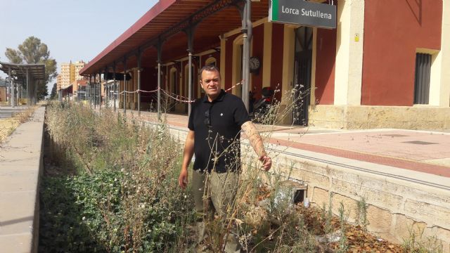 El PP exige que el Ministerio de Fomento asuma el pago del gasto que le supone al Ayuntamiento la limpieza, desbroce y fumigación de las vías del tren - 1, Foto 1