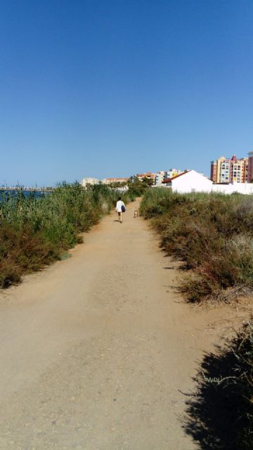 El PCAN denuncia que el paseo ecológico entre Playa Honda y Villas Caravaning tampoco estará este verano - 4, Foto 4