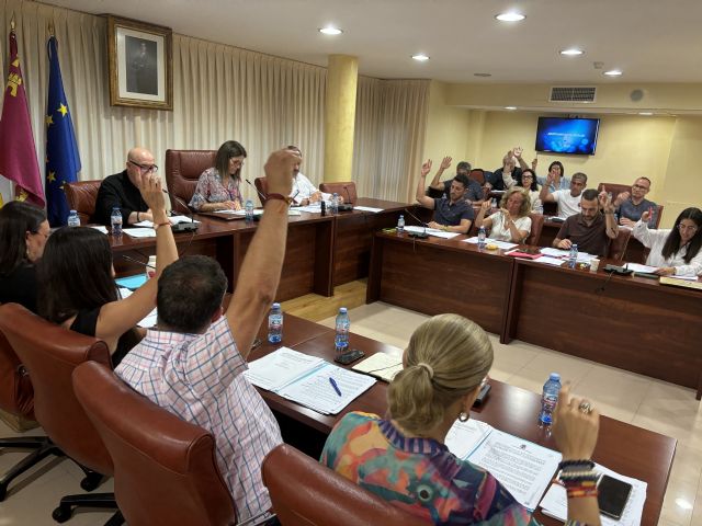 El Pleno aprueba por unanimidad solicitar a la Consejería de Salud que complete la plantilla de la unidad de Salud Mental de Águilas, actualmente sin ningún psiquiatra - 1, Foto 1