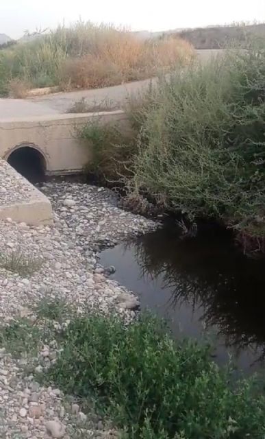 La mezcla de aguas residuales del curtido con aguas residuales urbanas y su uso para el riego podría salir muy cara a Lorca y al sector agrícola lorquino y murciano - 2, Foto 2