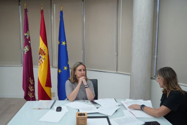 El Gobierno regional rechaza una vez más la imposición del Gobierno de España en el reparto de menores migrantes - 1, Foto 1
