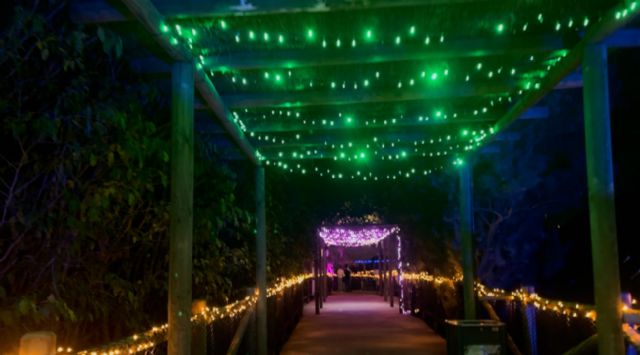Terra Natura se ilumina las noches de este verano con el nuevo Safari de Luces - 1, Foto 1