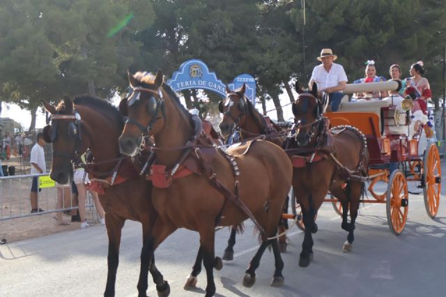 Ganaderos y amantes del mundo ecuestre se dan cita en la Feria del Ganado y el Encuentro de Carruajes de San Pedro del Pinatar - 4, Foto 4