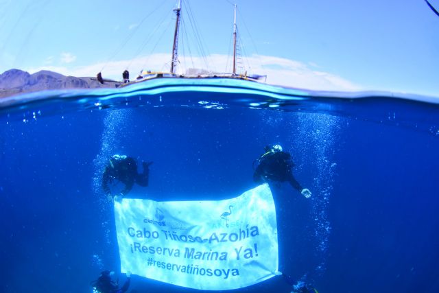 ANSE muestra su satisfacción por la declaración de la reserva marina de cabo Tiñoso - 2, Foto 2
