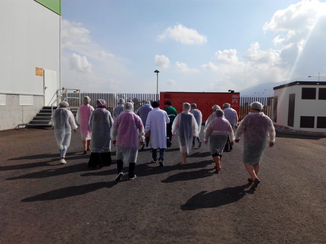 El itinerario informativo de Servicios Sociales se cierra con la prospeccin de empresas, Foto 2