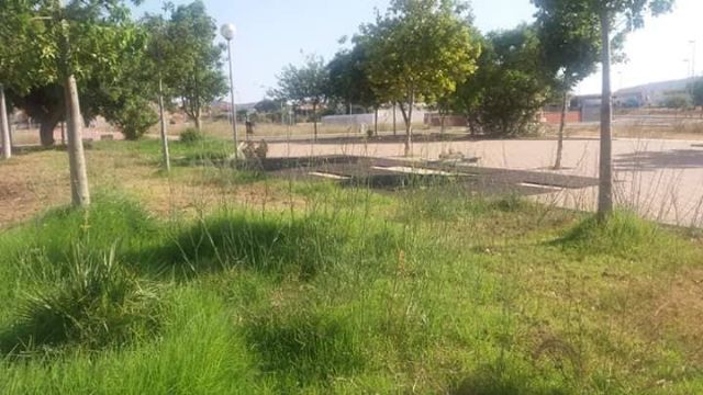 Cs: el abandono de los parques ha obligado a algunos vecinos de Los Belones a asumir labores de jardineros - 3, Foto 3