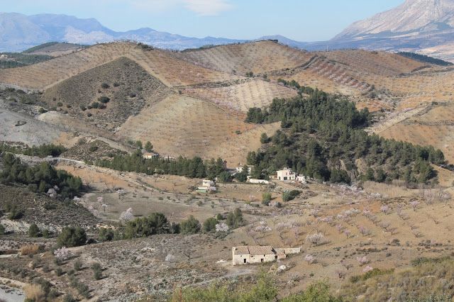 IU pide que culmine la electrificación de Jarales y el arreglo del camino de Las Cordilleras - 1, Foto 1
