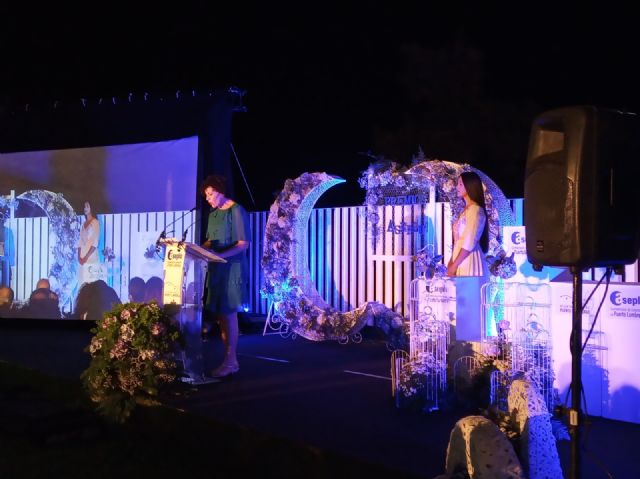 Los premios empresariales Aseplu 2019 reconocen un año más el carácter emprendedor lumbrerense - 3, Foto 3