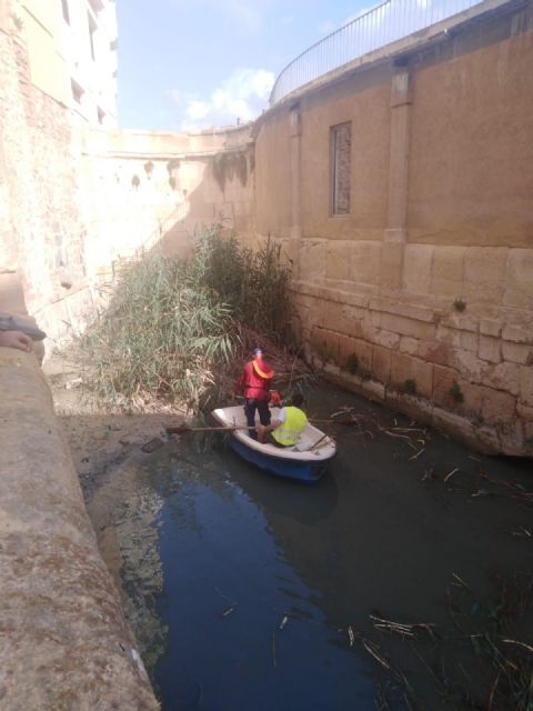 El Ayuntamiento despliega un plan especial de limpieza para eliminar el anidamientos de mosquitos y otros insectos, además de olores en el entorno de los Molinos Del Río - 1, Foto 1