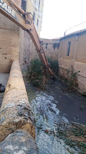 El Ayuntamiento despliega un plan especial de limpieza para eliminar el anidamientos de mosquitos y otros insectos, además de olores en el entorno de los Molinos Del Río - 2, Foto 2