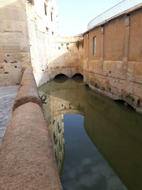 El Ayuntamiento despliega un plan especial de limpieza para eliminar el anidamientos de mosquitos y otros insectos, además de olores en el entorno de los Molinos Del Río - 3, Foto 3