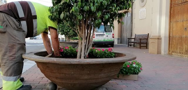 Miles de flores adornarán las fiestas de Sangonera la Verde, Rincón de Seca, Monteagudo y El Esparragal - 1, Foto 1