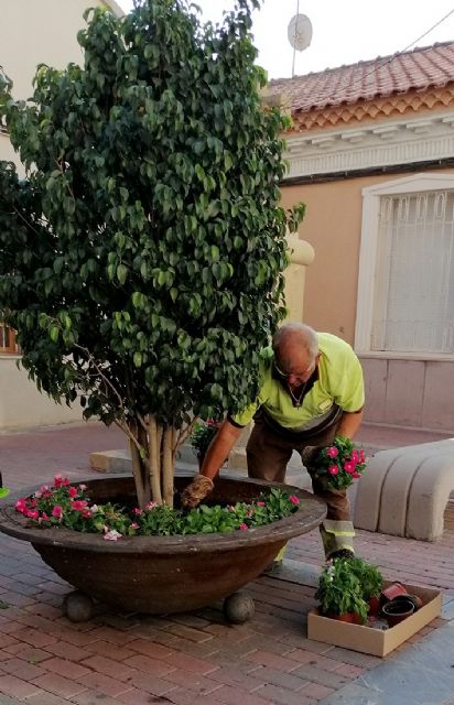Miles de flores adornarán las fiestas de Sangonera la Verde, Rincón de Seca, Monteagudo y El Esparragal - 2, Foto 2
