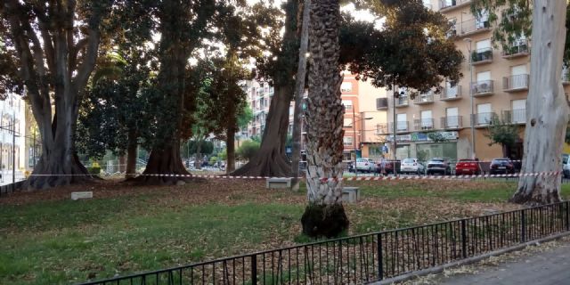 Cerrado al público el jardín de Floridablanca debido a la alerta por altas temperaturas - 2, Foto 2