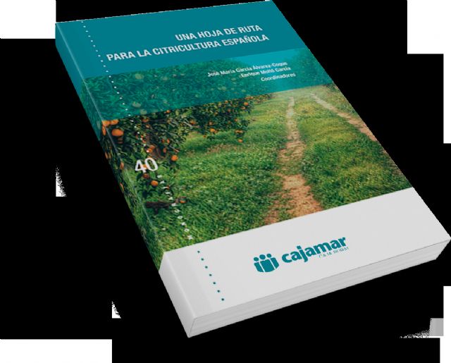 Cajamar plantea una hoja de ruta para el sector de los cítricos en España - 2, Foto 2