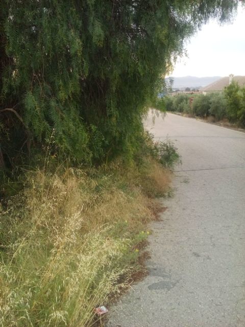 El PP respalda la petición de los vecinos de La Torrecilla para mejorar los caminos Viejo del Puerto, Azagaor, Cabalgadores, Velopache y Alcolea - 1, Foto 1