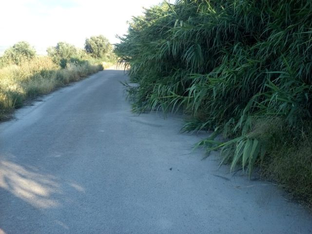 El PP respalda la petición de los vecinos de La Torrecilla para mejorar los caminos Viejo del Puerto, Azagaor, Cabalgadores, Velopache y Alcolea - 2, Foto 2