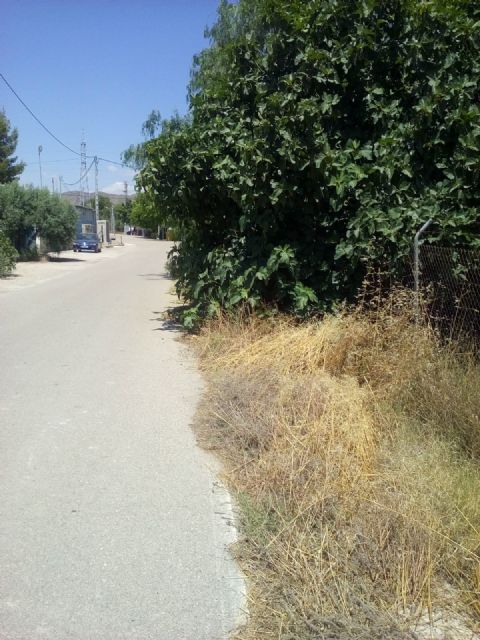 El PP respalda la petición de los vecinos de La Torrecilla para mejorar los caminos Viejo del Puerto, Azagaor, Cabalgadores, Velopache y Alcolea - 3, Foto 3